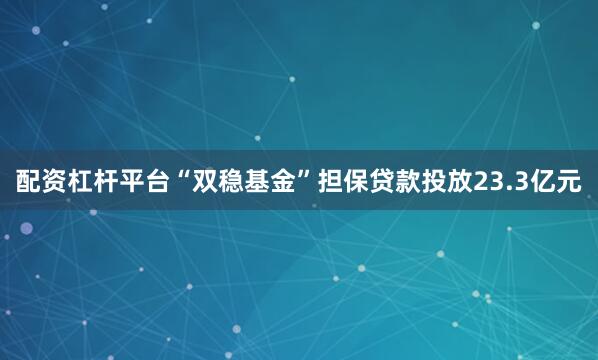 配资杠杆平台“双稳基金”担保贷款投放23.3亿元