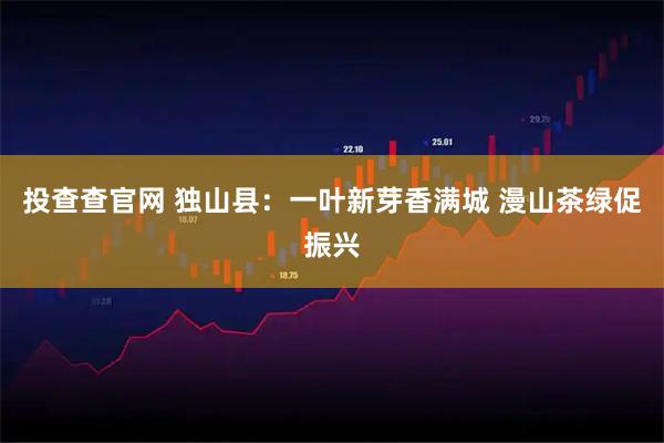 投查查官网 独山县：一叶新芽香满城 漫山茶绿促振兴