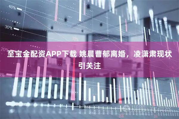 至宝金配资APP下载 姚晨曹郁离婚，凌潇肃现状引关注