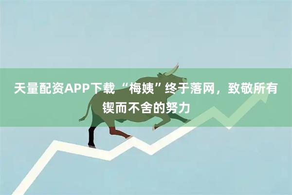 天量配资APP下载 “梅姨”终于落网，致敬所有锲而不舍的努力