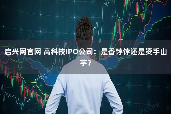 启兴网官网 高科技IPO公司:是香饽饽还是烫手山芋?