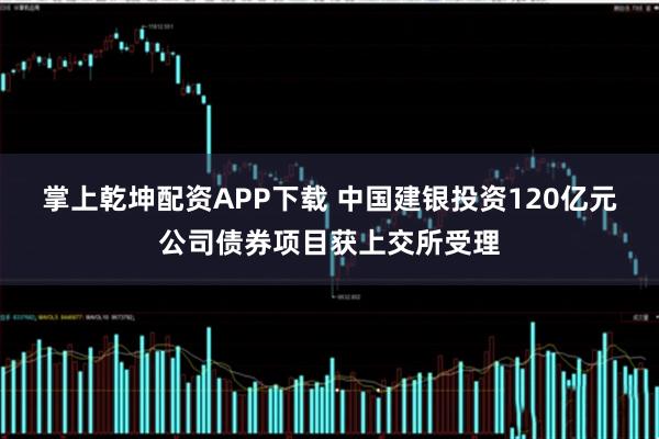 掌上乾坤配资APP下载 中国建银投资120亿元公司债券项目获上交所受理