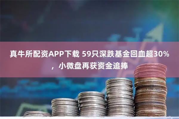 真牛所配资APP下载 59只深跌基金回血超30%，小微盘再获资金追捧